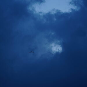 Into the Ether photographic print by Andrew Flynn