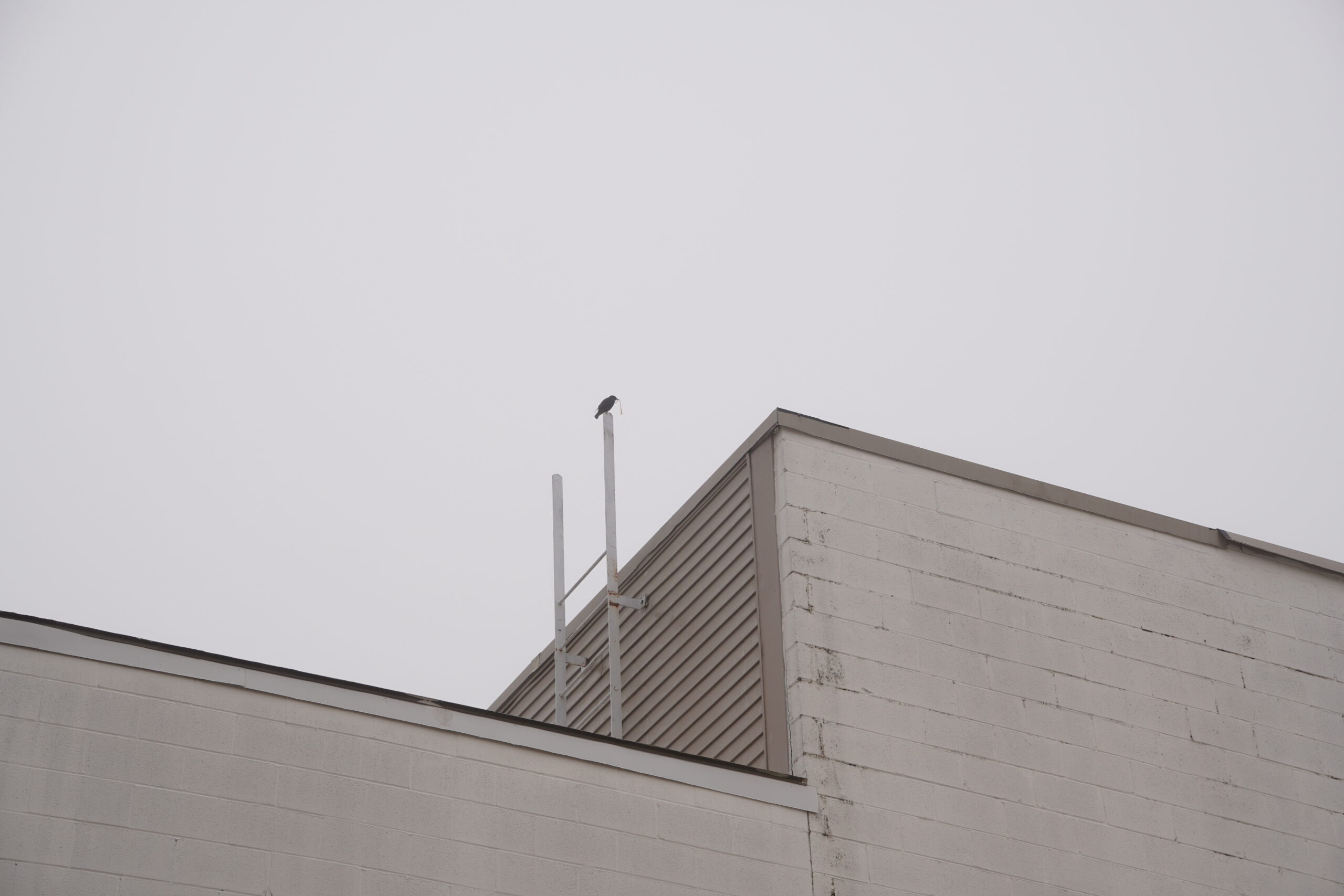 Fine art photograph by Andrew Flynn