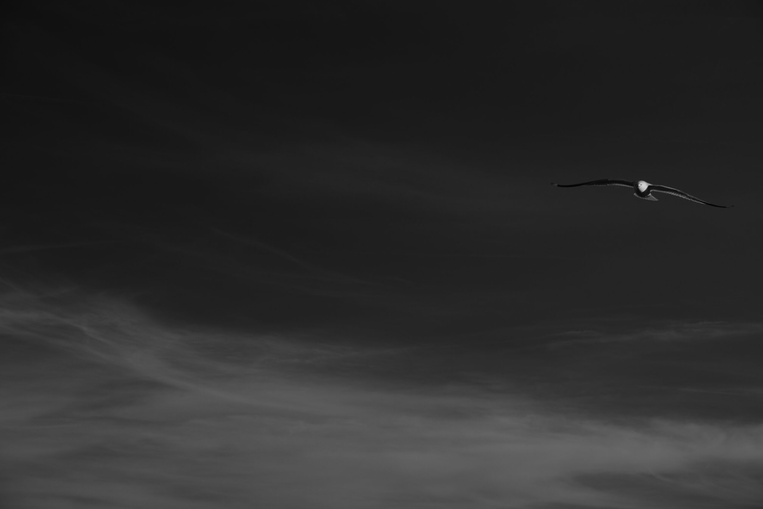 Fine art photograph by Andrew Flynn